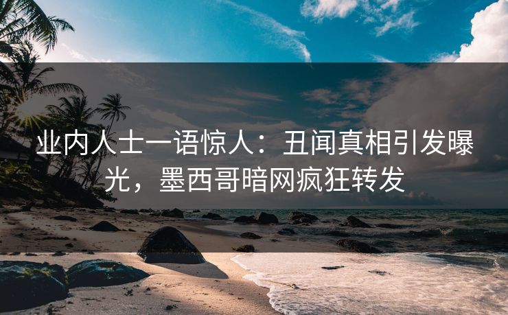 业内人士一语惊人：丑闻真相引发曝光，墨西哥暗网疯狂转发