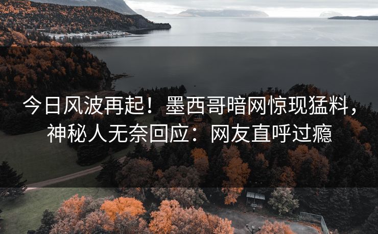 今日风波再起！墨西哥暗网惊现猛料，神秘人无奈回应：网友直呼过瘾