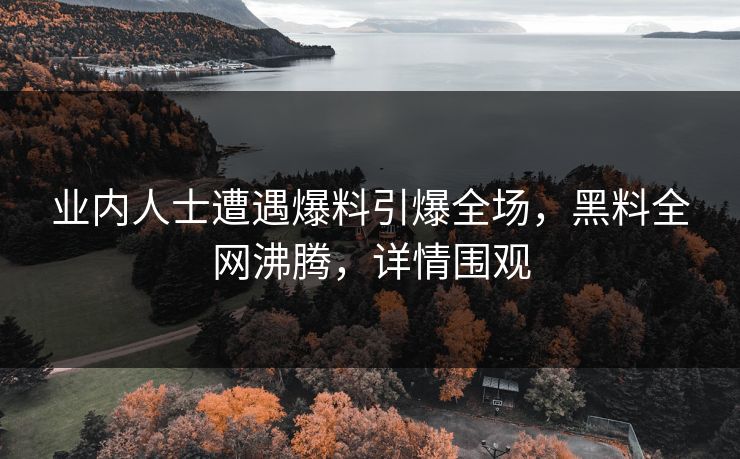 业内人士遭遇爆料引爆全场，黑料全网沸腾，详情围观